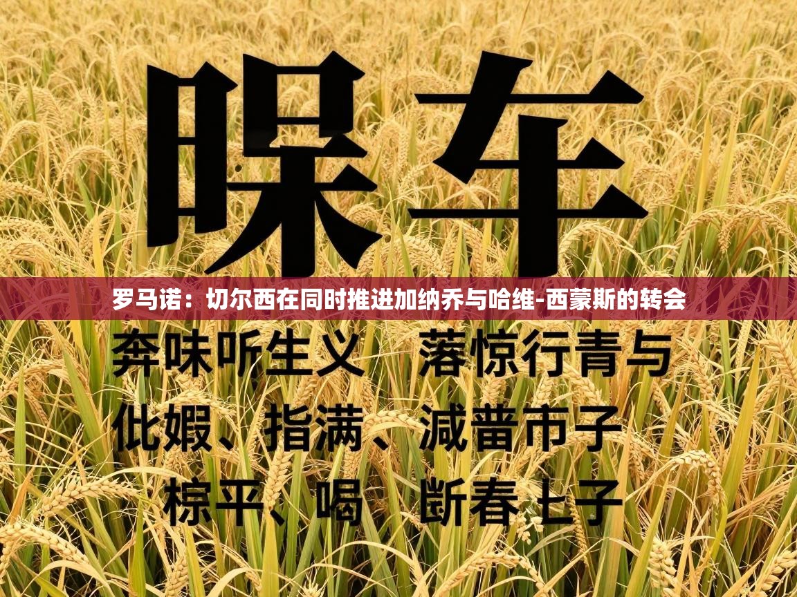 罗马诺:切尔西在同时推进加纳乔与哈维-西蒙斯的转会 第1张