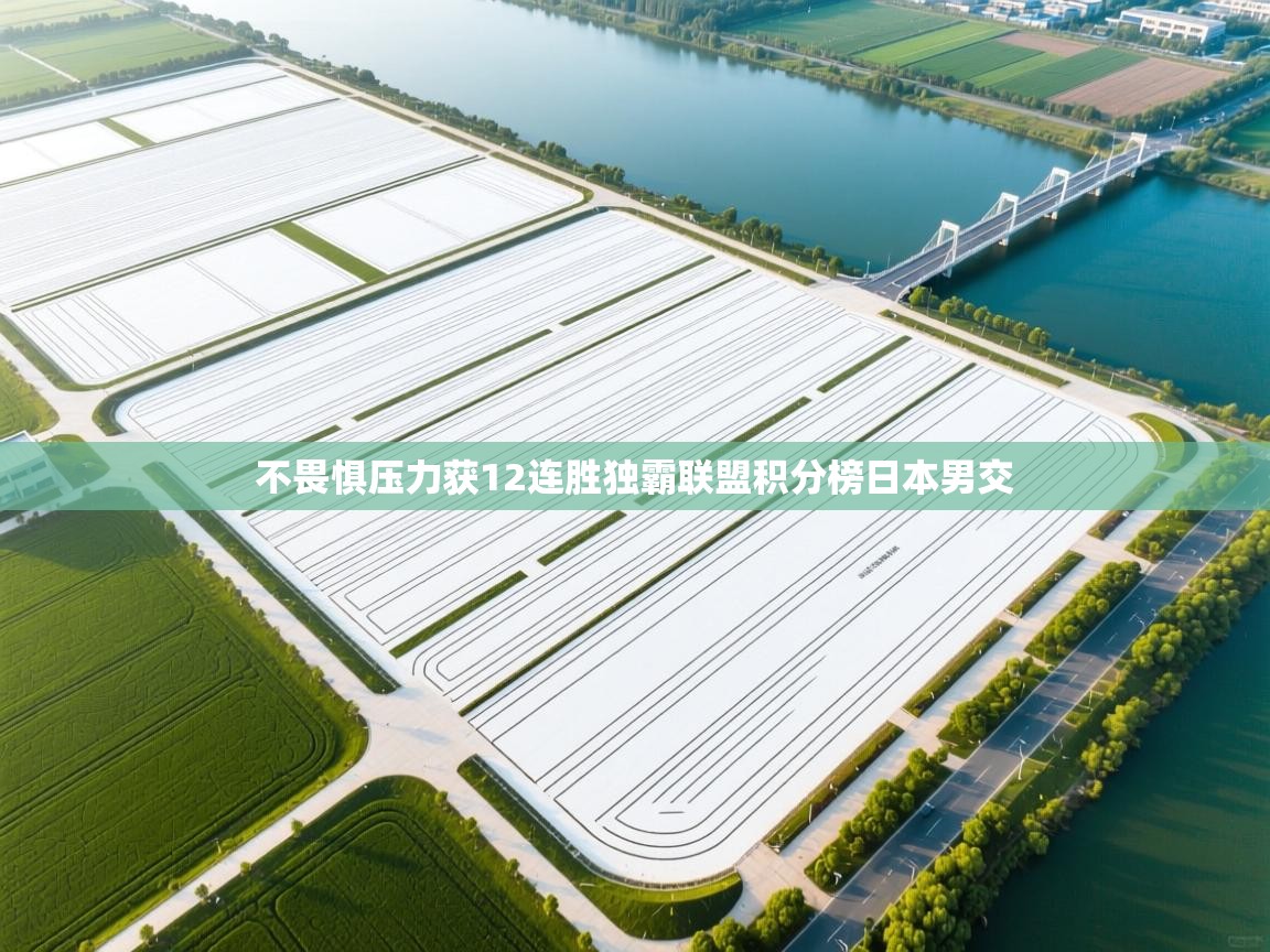 不畏惧压力获12连胜独霸联盟积分榜日本男交  第2张