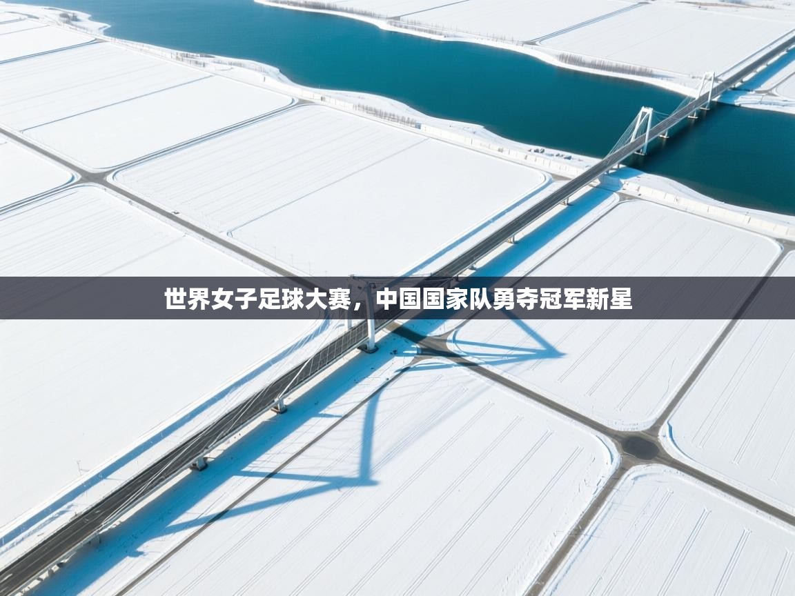 世界女子足球大赛，中国国家队勇夺冠军新星  第2张