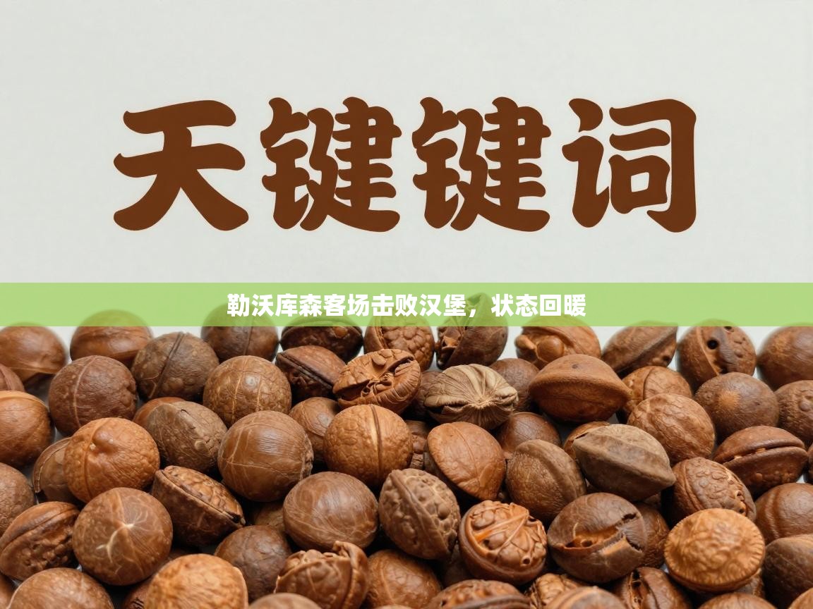 勒沃库森客场击败汉堡，状态回暖  第2张