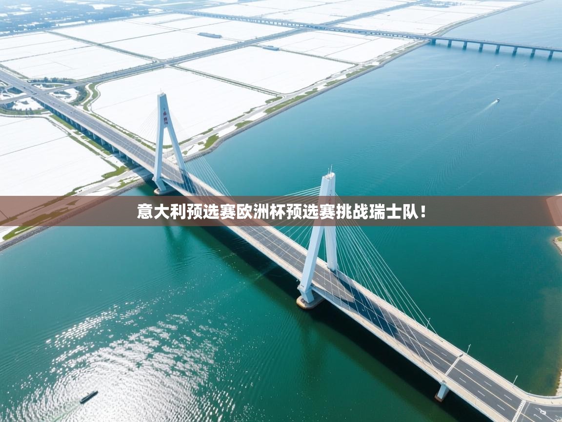 意大利预选赛欧洲杯预选赛挑战瑞士队！  第1张